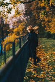 An Autumn Day