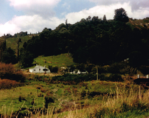 Whangamomona Farmhouse
